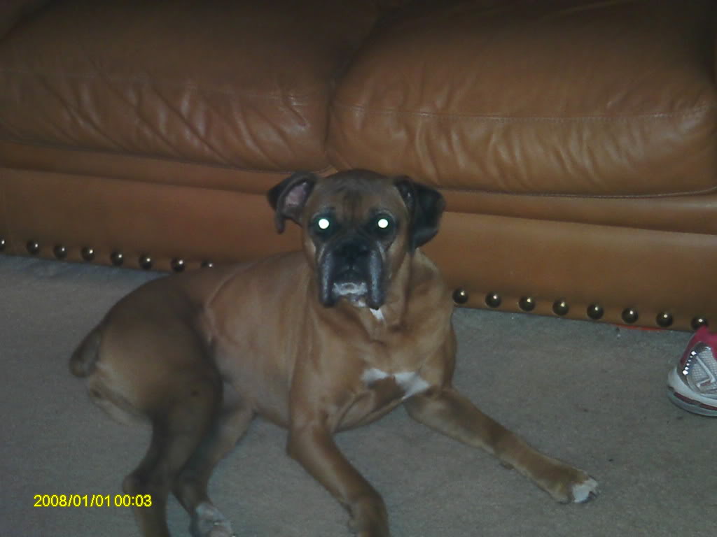 PICT0001.jpg