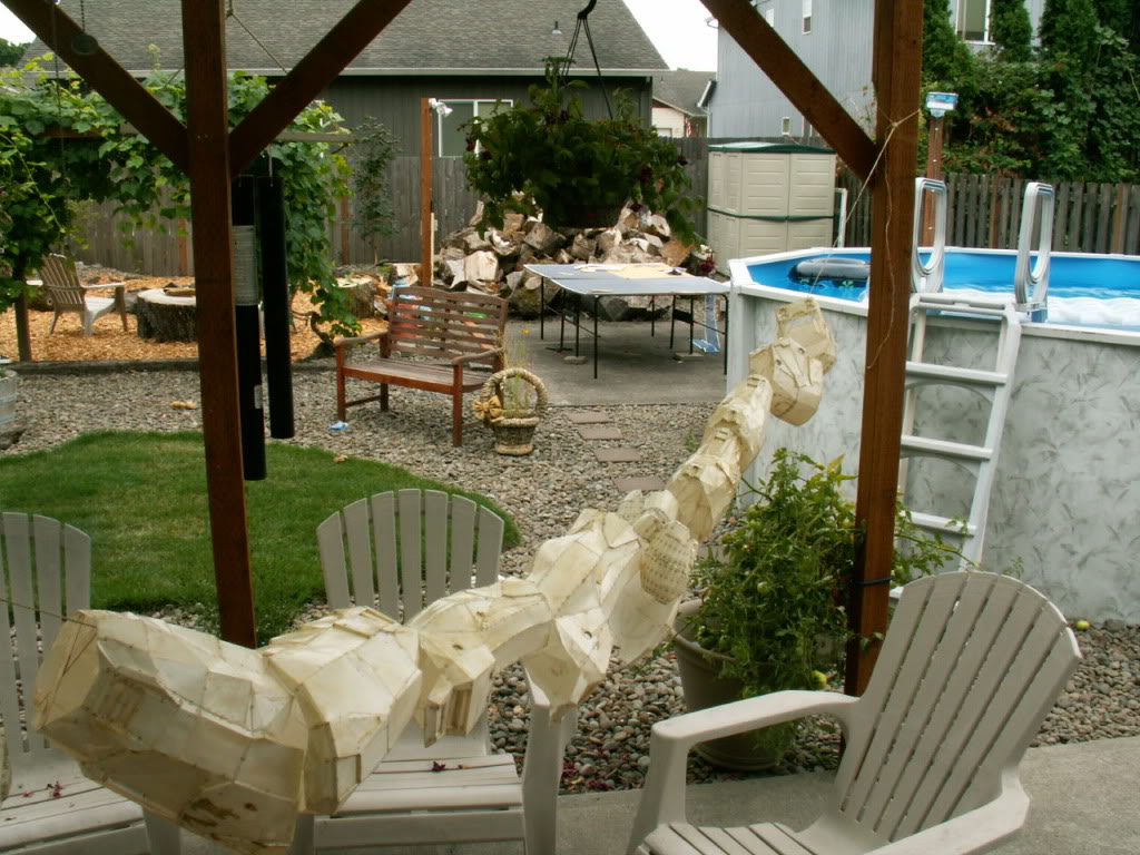 PICT0062.jpg
