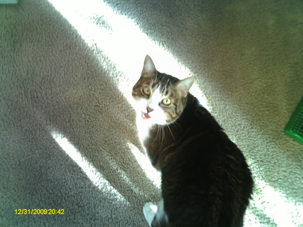 PICT0067.jpg