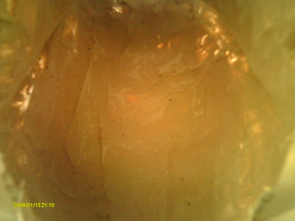 PICT0241.jpg