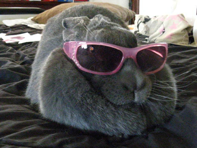 Picture003.jpg