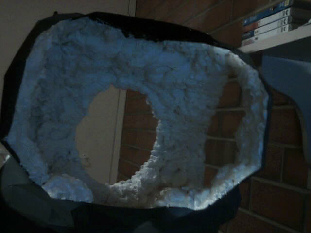 Picture13.jpg