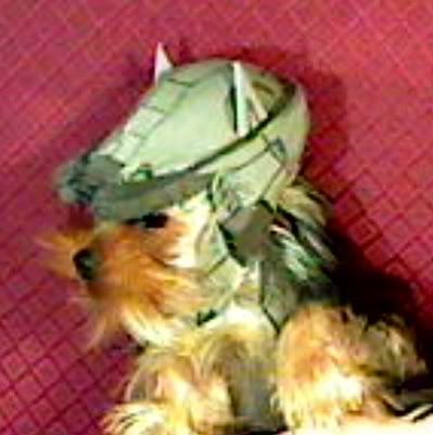 Spartan Dawg 117 reporting for duty SIR Halo Costume and Prop Maker Community 405th