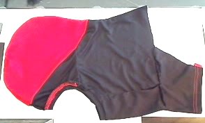 Picture81.jpg