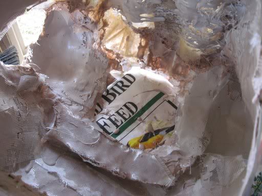 Picture899.jpg