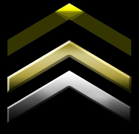 pvt1.jpg