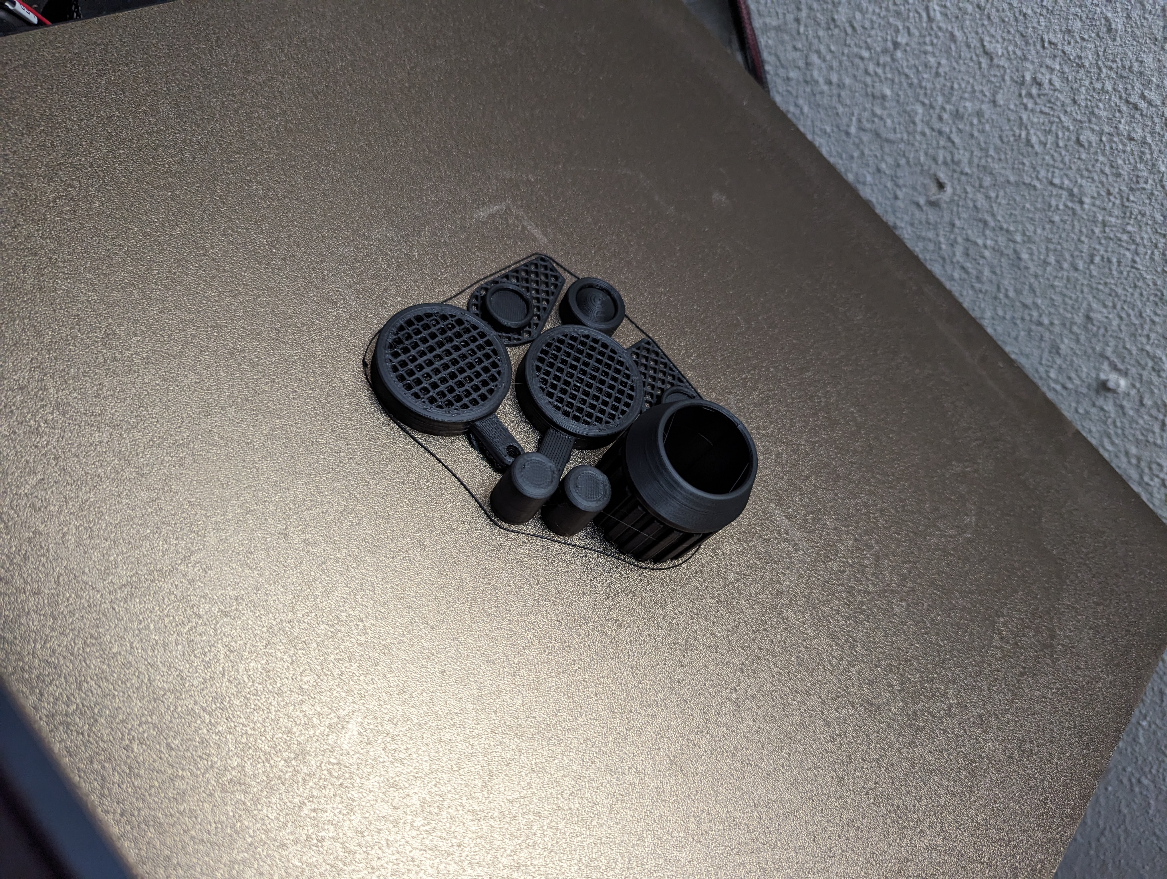 PXL_20240312_114347794.jpg