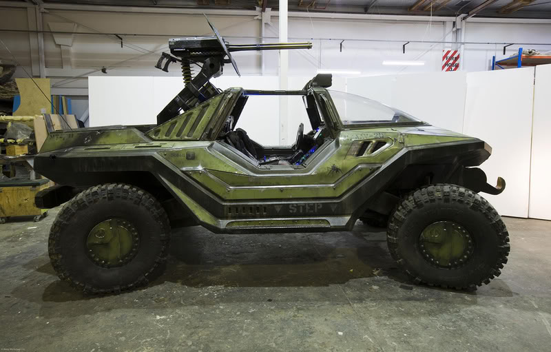 real_warthog.jpg