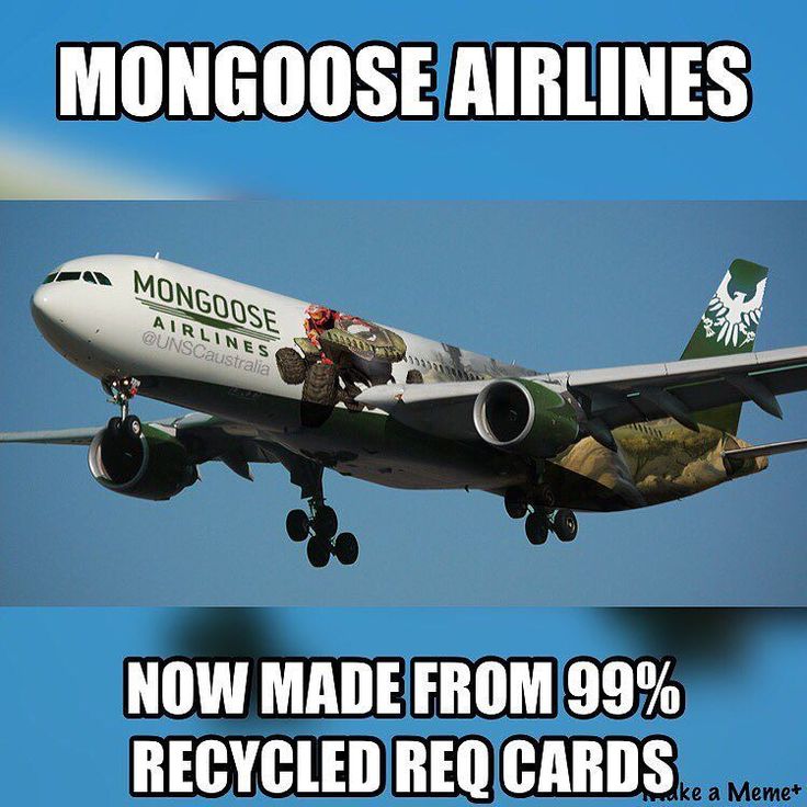 REQ plane.jpg