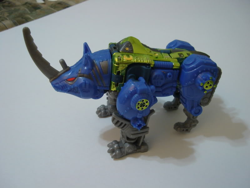 rhinox.jpg