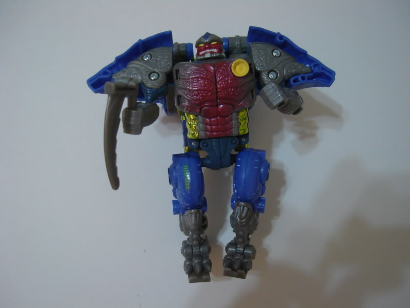 rhinox2.jpg