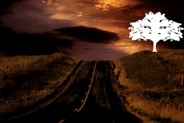 roadsky-webs.jpg