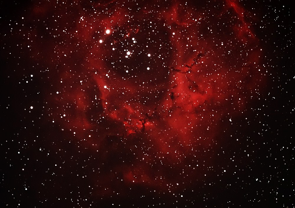 rosettesmall_filtered_zps379e2bb7.png