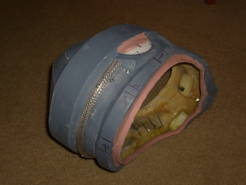 S7009684.jpg