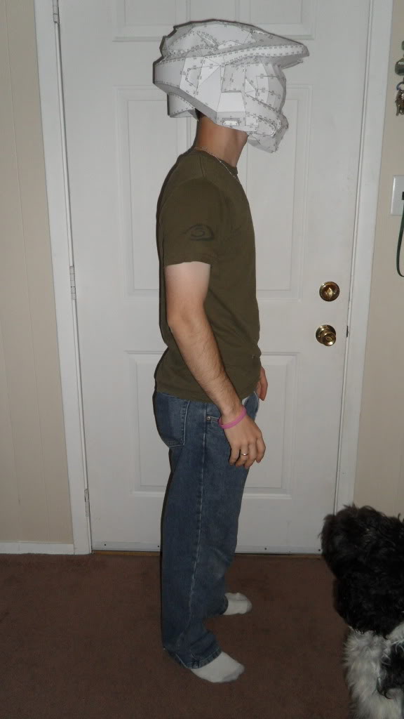 SAM_0826.jpg