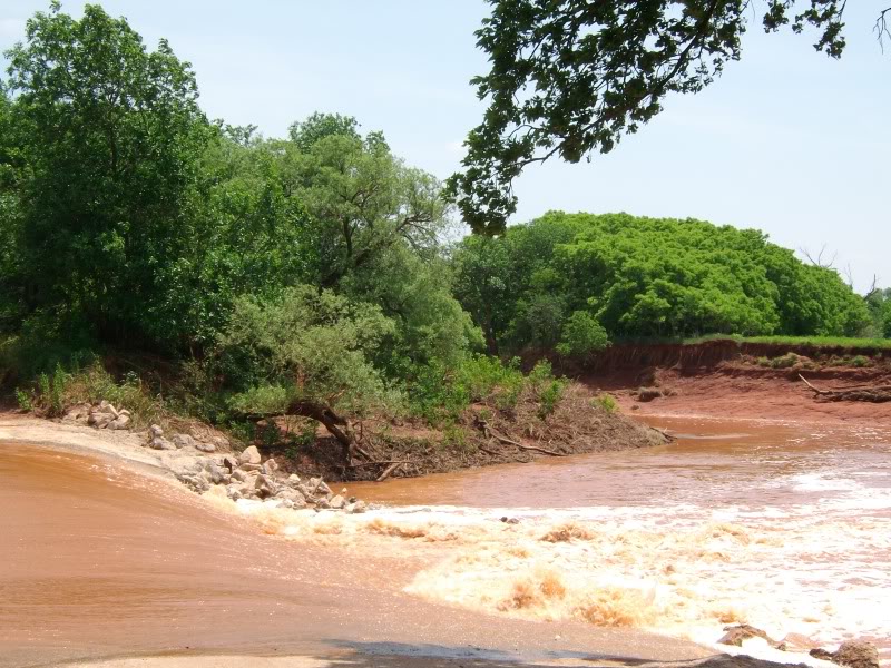 SANY0099.jpg