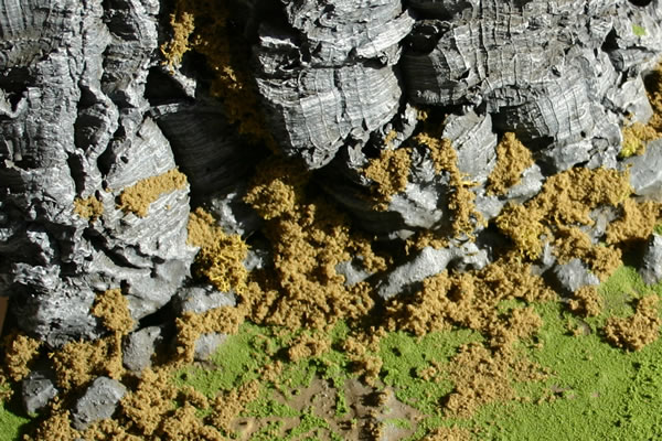 scetilf09.jpg