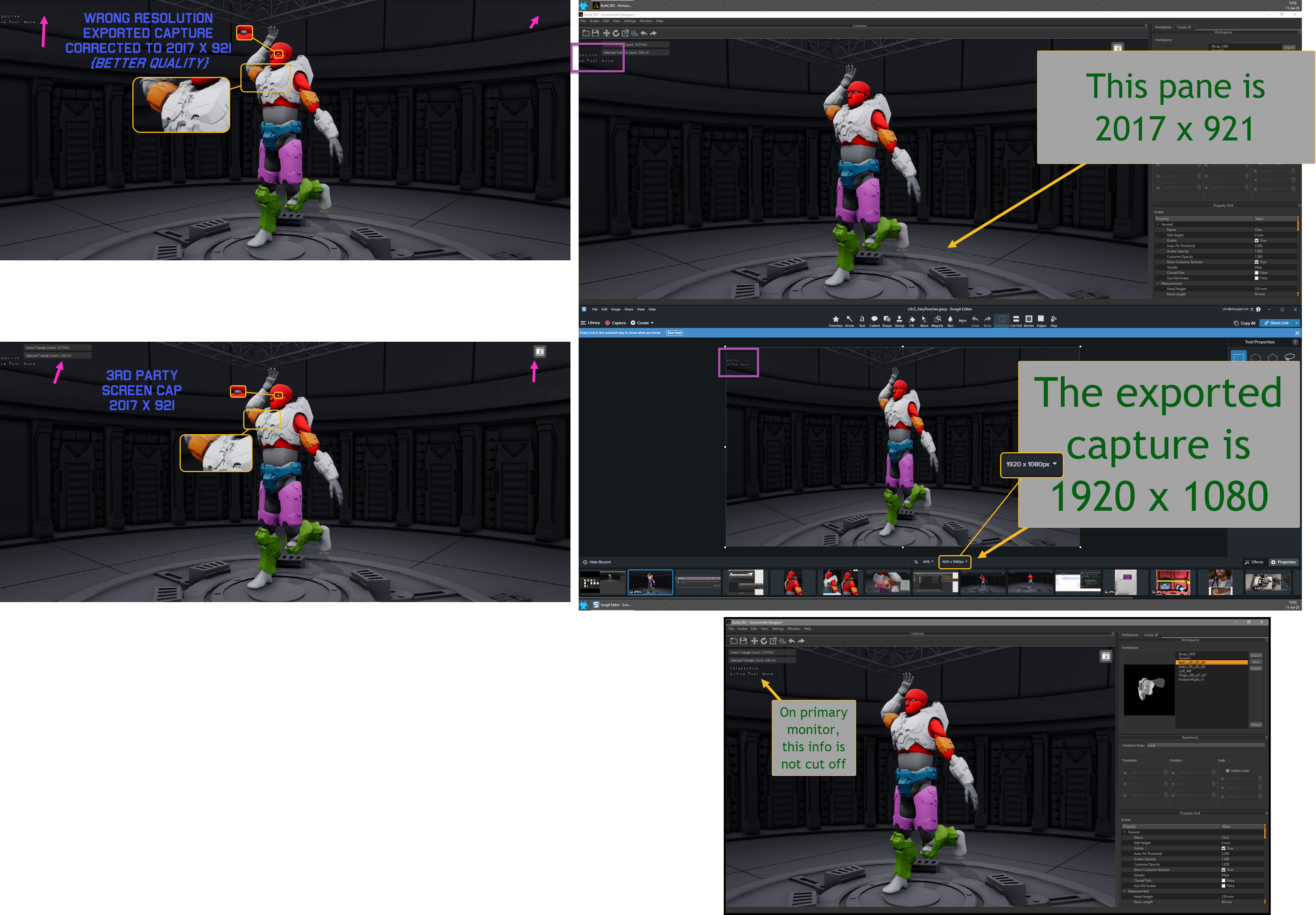 ScreenCaptureBug.jpg