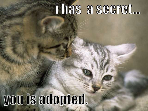 secret_r.jpg