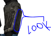 sfebrd.png
