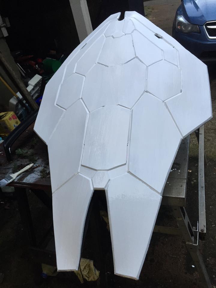 shieldprimer.jpg