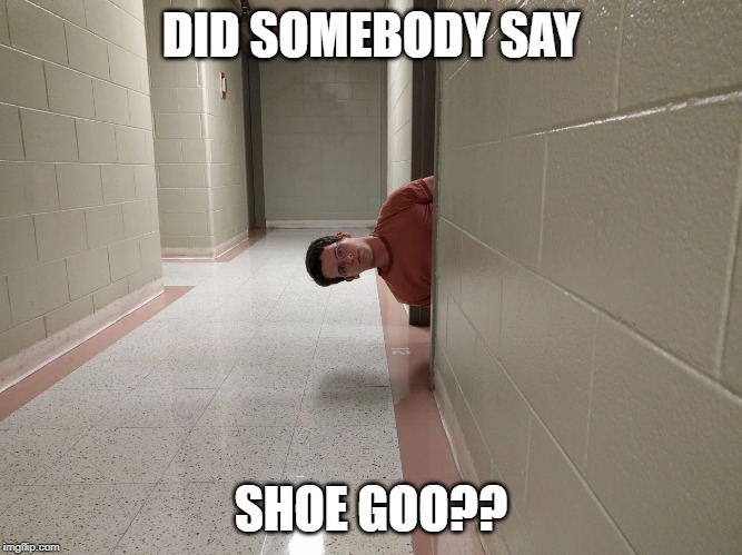 shoegoomeme.jpg