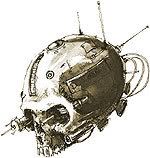 skull.jpg