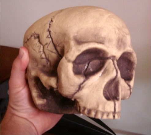 skull.jpg