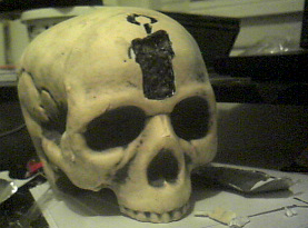skullkkjj.png