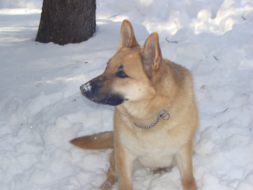 spring08179.jpg