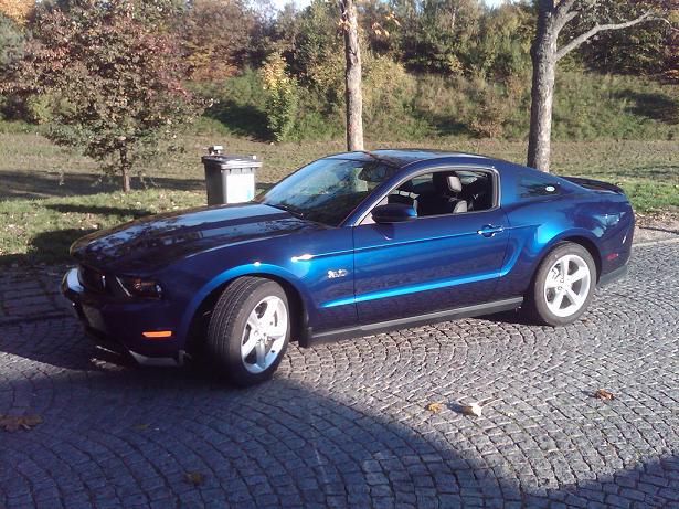 stang.jpg