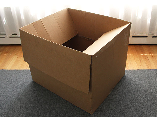 Step-One-Cardboard-Box.jpg