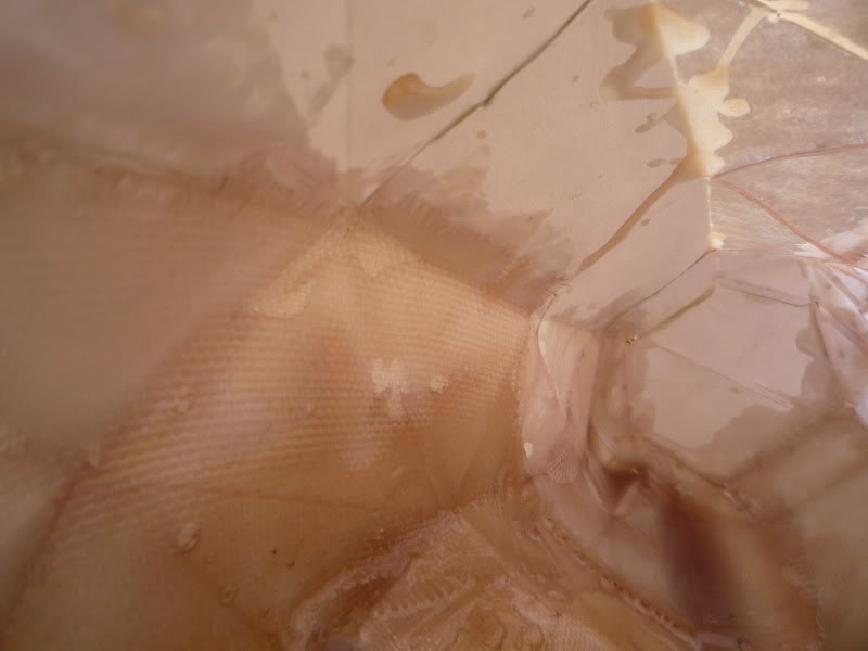 stuff004.jpg