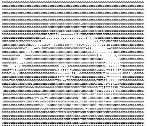 text3.jpg
