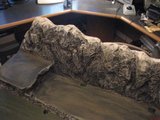 th_005.jpg