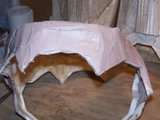 th_100_2662.jpg