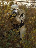 th_Advancing-bushes-1.jpg