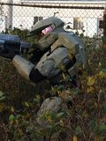 th_Advancing-bushes-3.jpg
