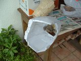 th_DSCF0004.jpg