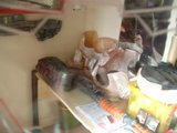 th_DSCF0007_zps3629003c.jpg