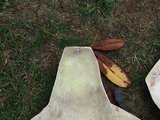 th_DSCF2279.jpg th_DSCF2279.jpg