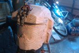 th_IMAG0125.jpg