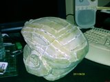 th_IMAG0663.jpg