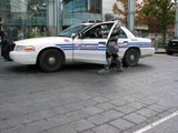 th_IMG_0240.jpg