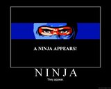 th_ninja.jpg