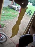 th_random381.jpg