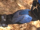 th_reach_266333_FullSHIN.jpg