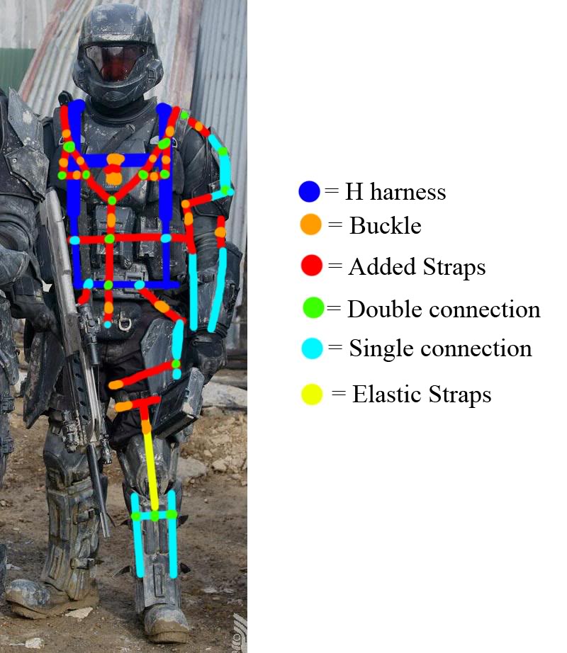 The_Harness-1copy.jpg