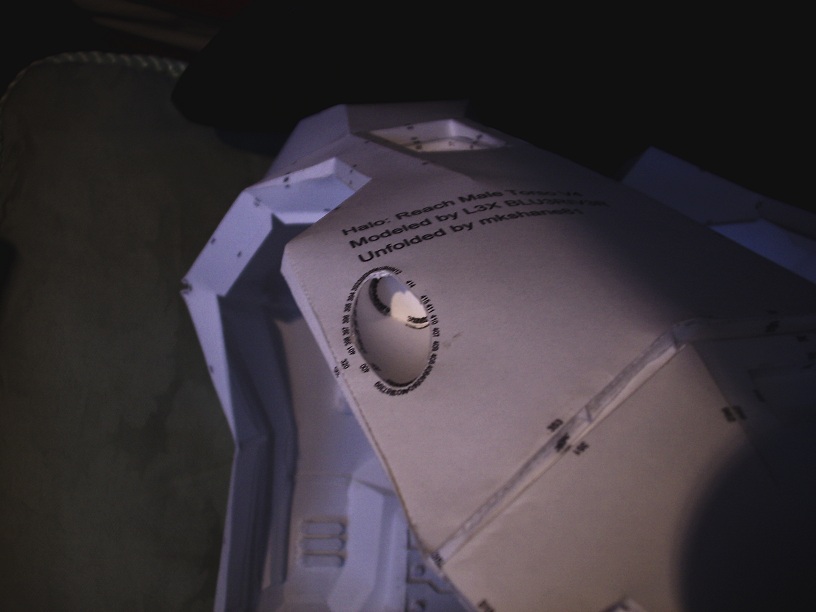torso12.jpg