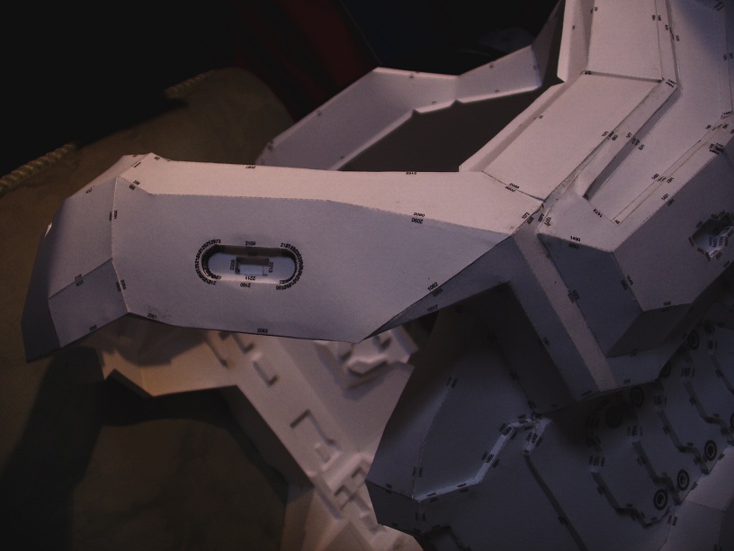 torso8.jpg